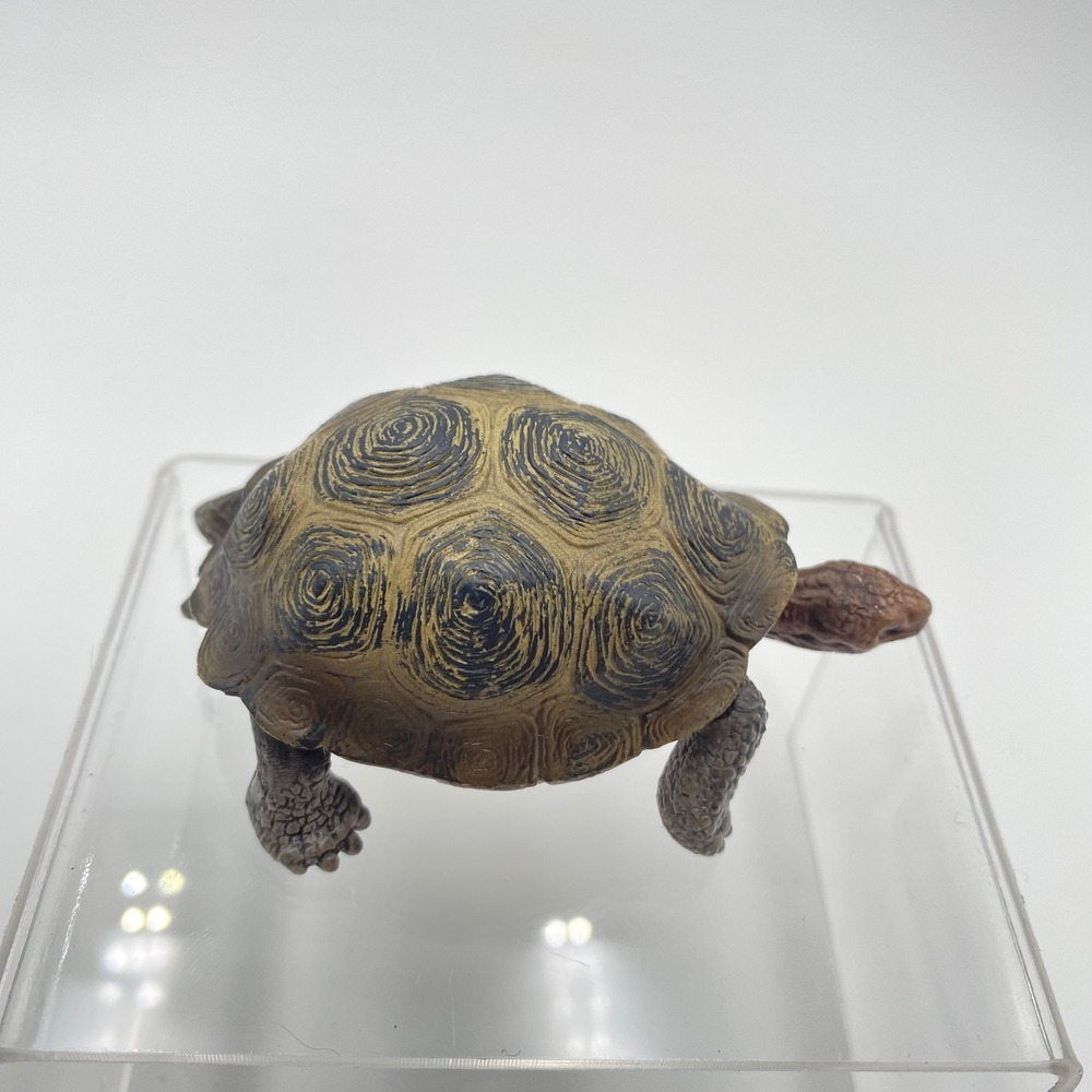 Schleich Tortoise Turtle Toy Animal Figure 2008 Reptile Woodland Desert Play - Picture 3 of 6
